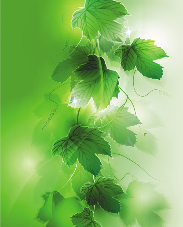 nature background realistic sparkling green leaves decor