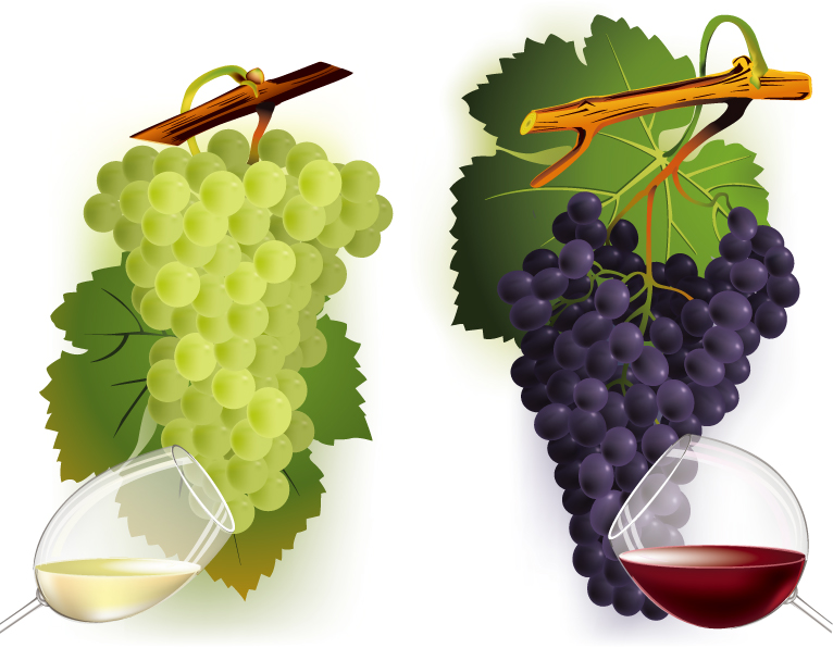 grapes wine icons modern colorful decor