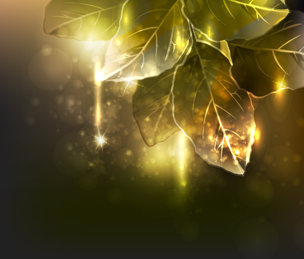 nature background leaves sparkling bokeh lights decor