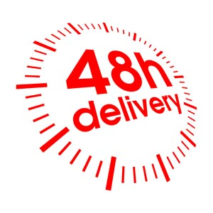 delivery advertising banner red clock shape texts decor