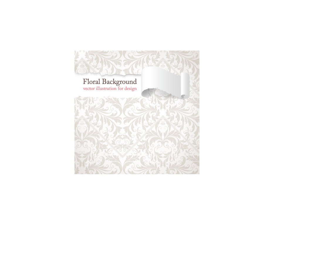 ripped paper background bright white elegant decor