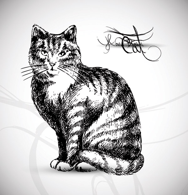 cat painting black white handdrawn sketch