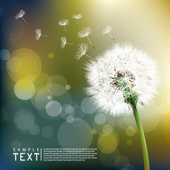 dandelion background realistic botany icon bokeh decor