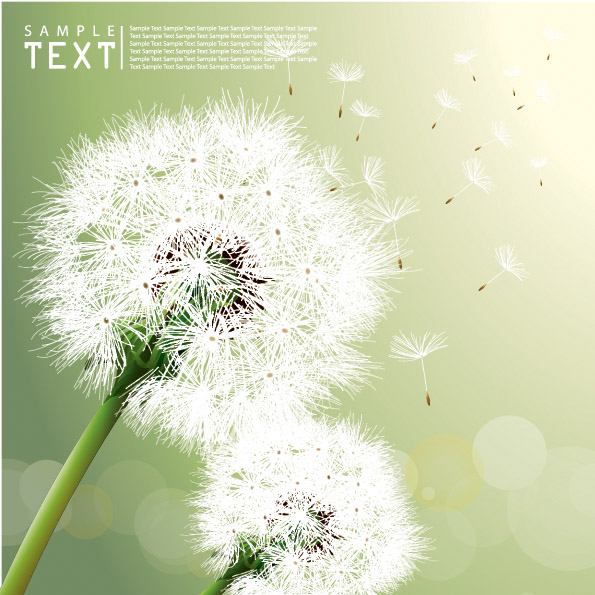 dandelion background realistic flying objects bright bokeh decor