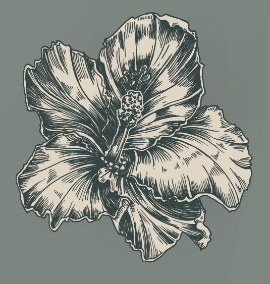 flora icons black white 3d handdrawn sketch