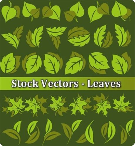 leaves icons collection green shapes sketch