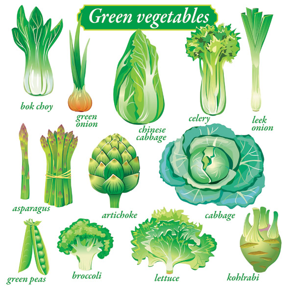 nutritious vegetables banner green icons sketch