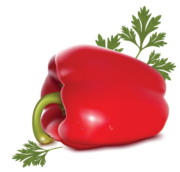 ripe pepper fruit vegetable background shiny realistic design