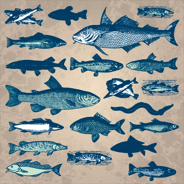 marine creatures background fishes icons dark retro sketch