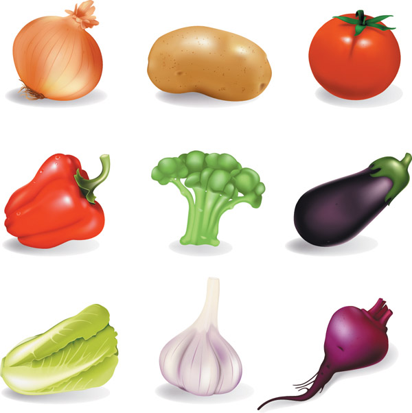 vegetables icons shiny colored realistic design