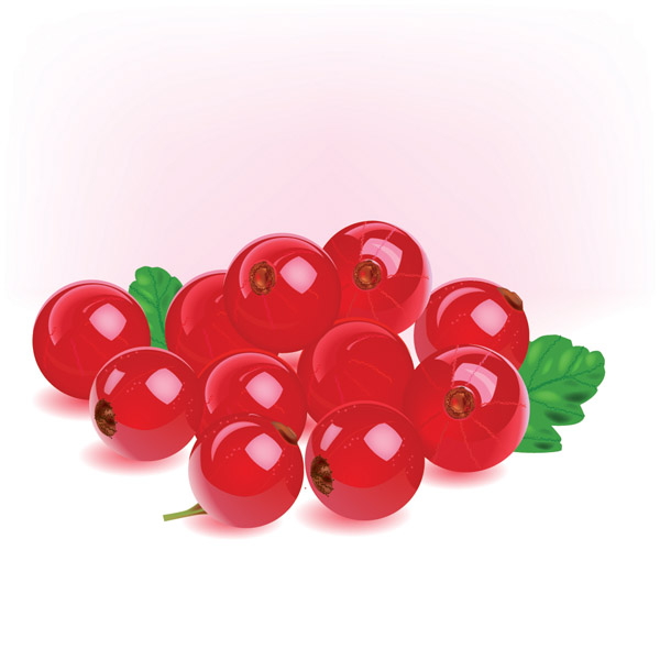 fruit background raspberry icons shiny 3d design