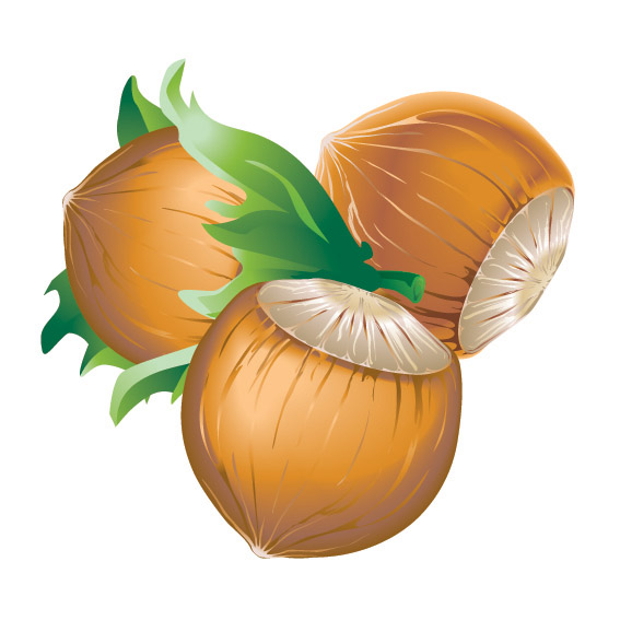 chestnut background closeup colored 3d design