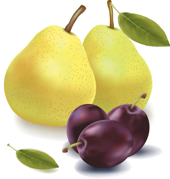 fruit background pear cherry icons colored realistic design