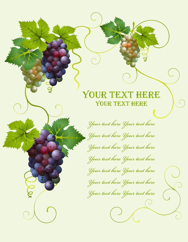 wine background grapes icons colorful design