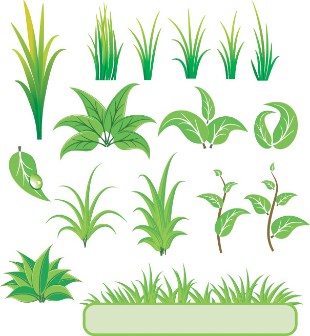 nature design elements green leaf grass icons