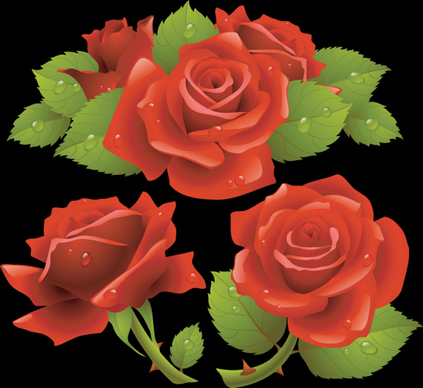 rose icons colored wet decor realistic 3d design