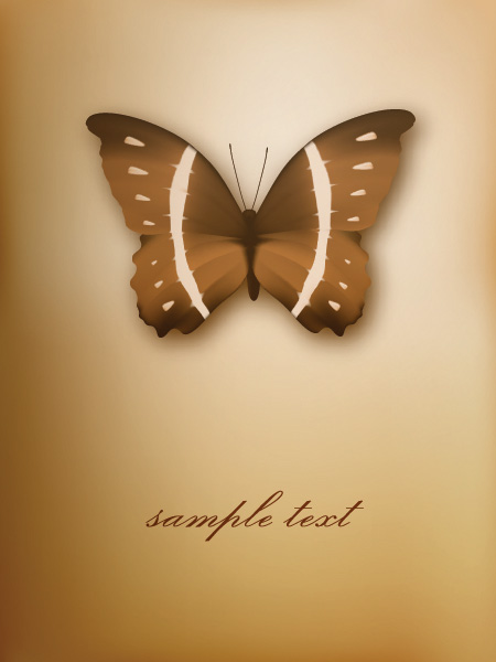 butterfly background modern 3d brown decor