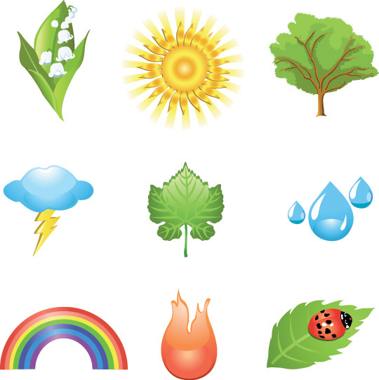 eco design elements plant weather insect icons