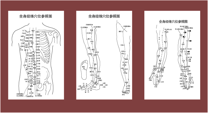 anatomy background sets traditional chinese design