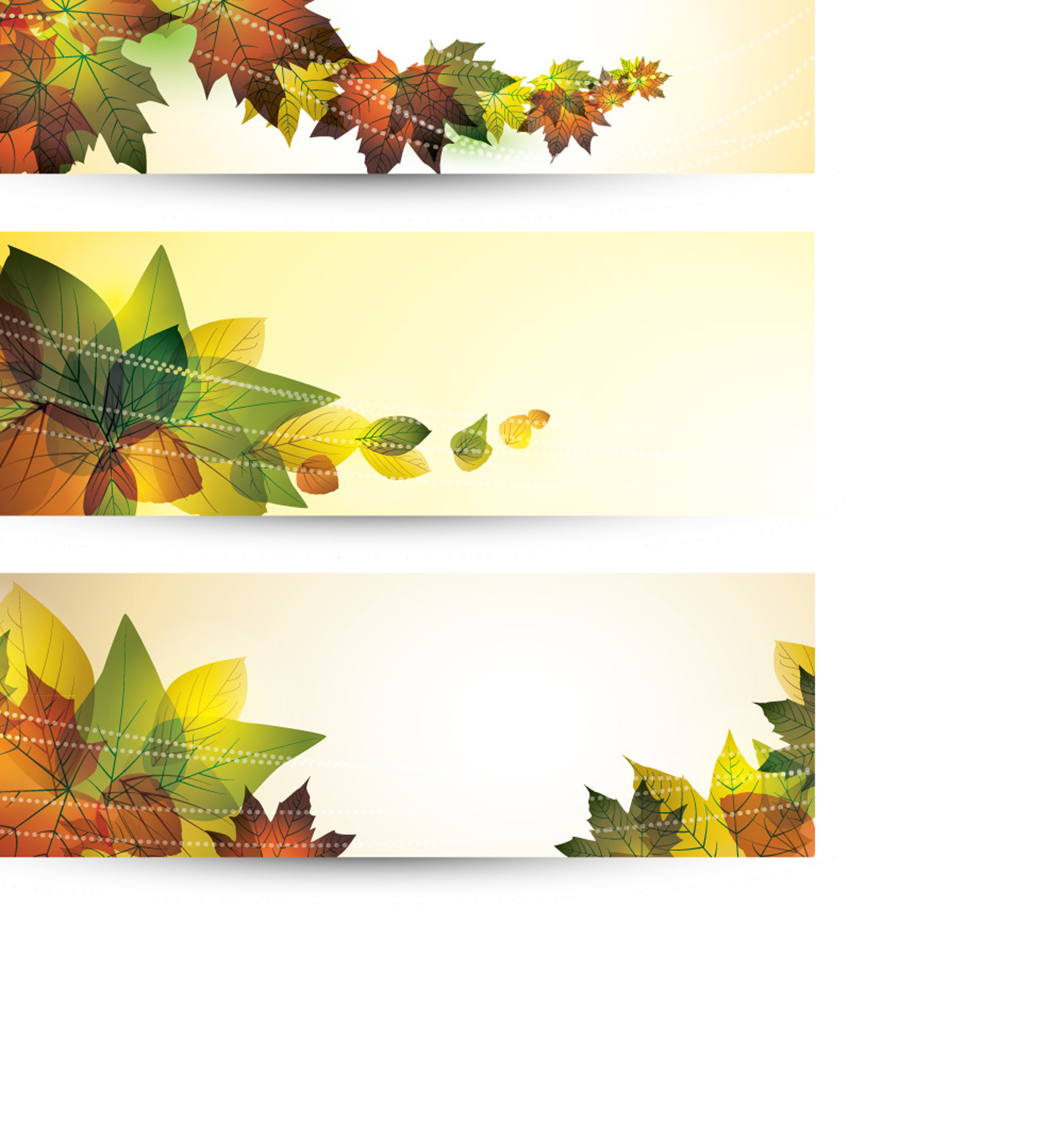 beautiful leaves card 01 vector