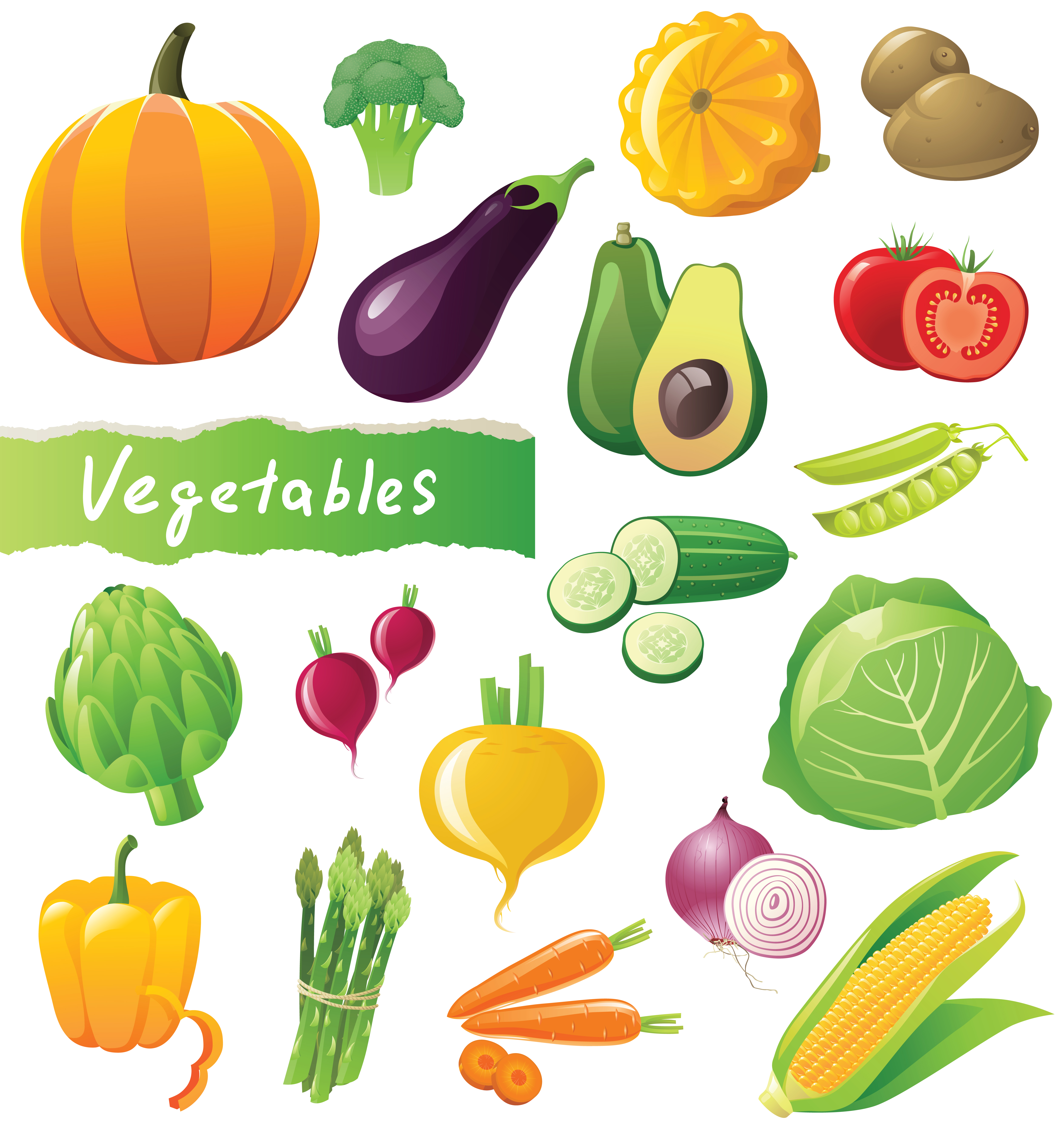 vegetables image 01 vector