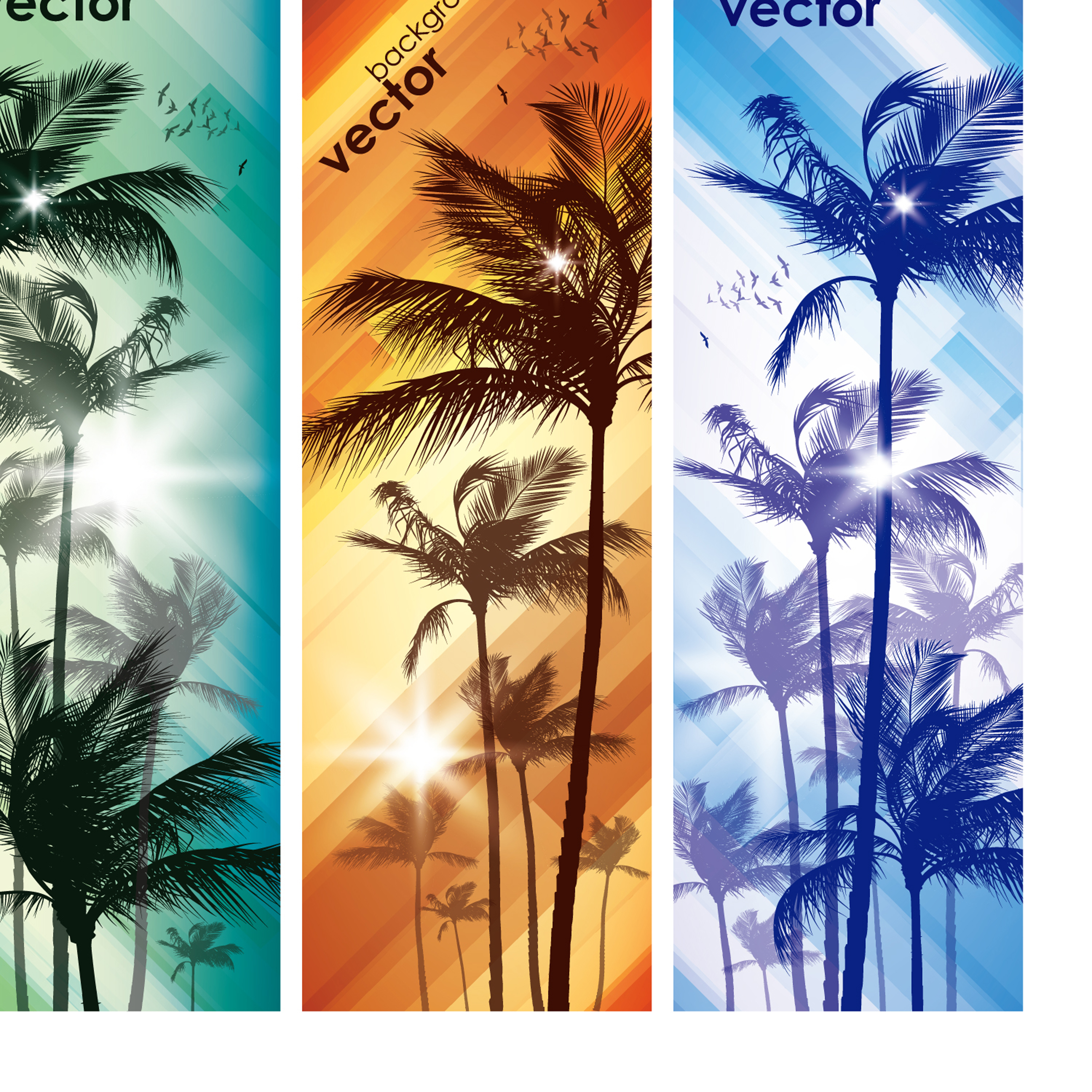 coco banner01vector