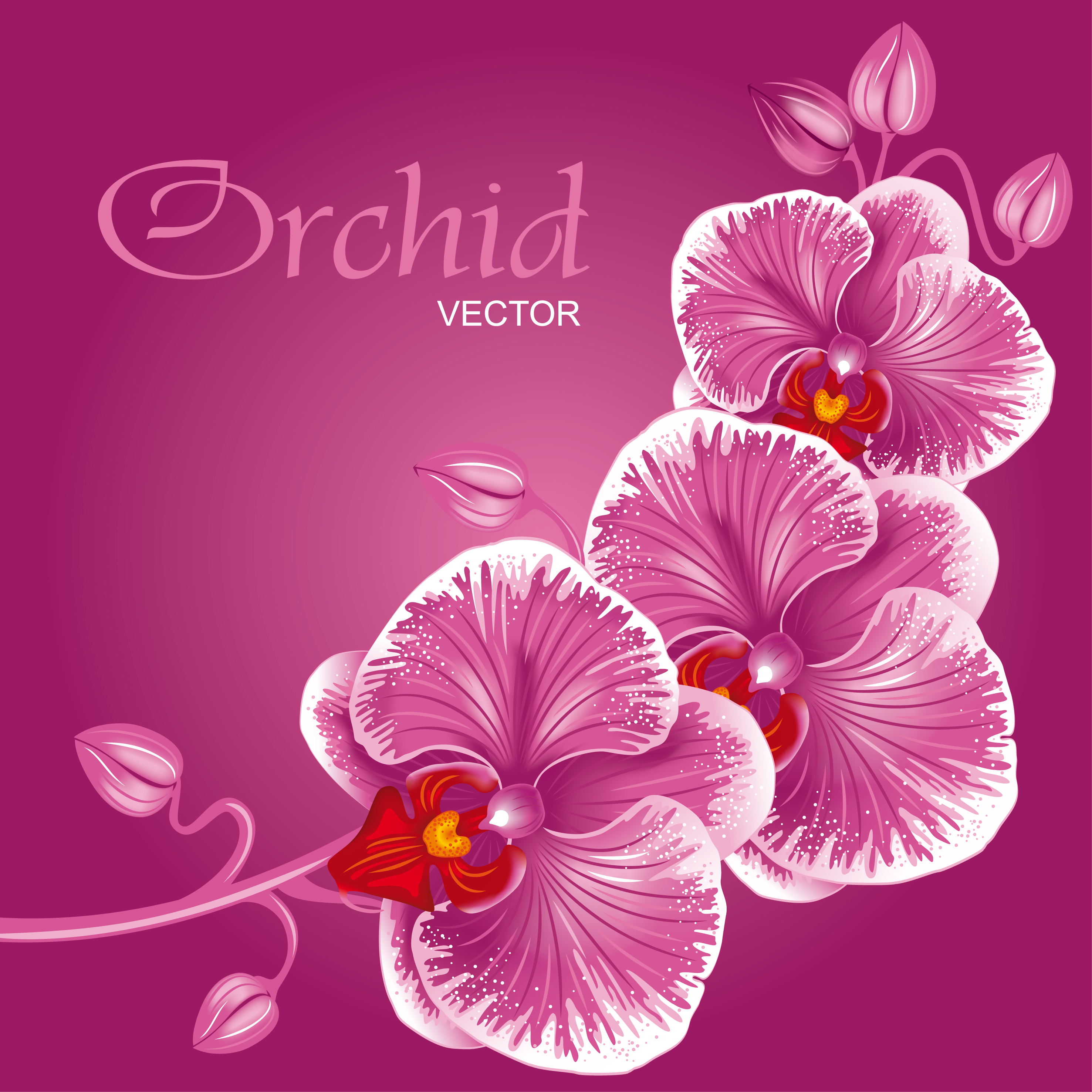 beautiful flowers background 01 vector