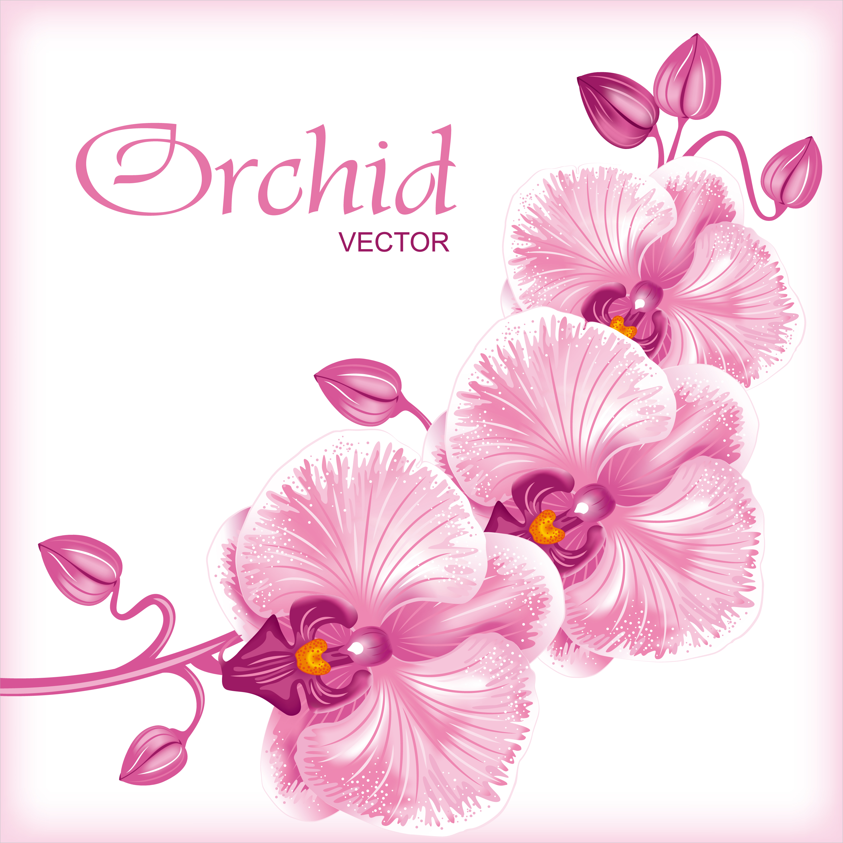 beautiful flowers background 03 vector