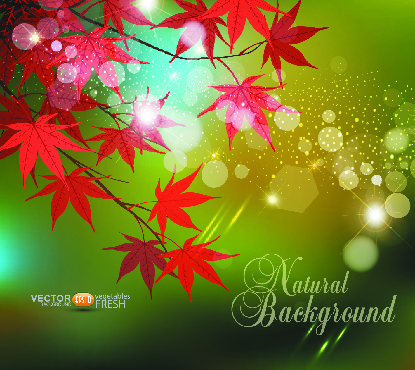 beautiful maple leaf background 04 vector