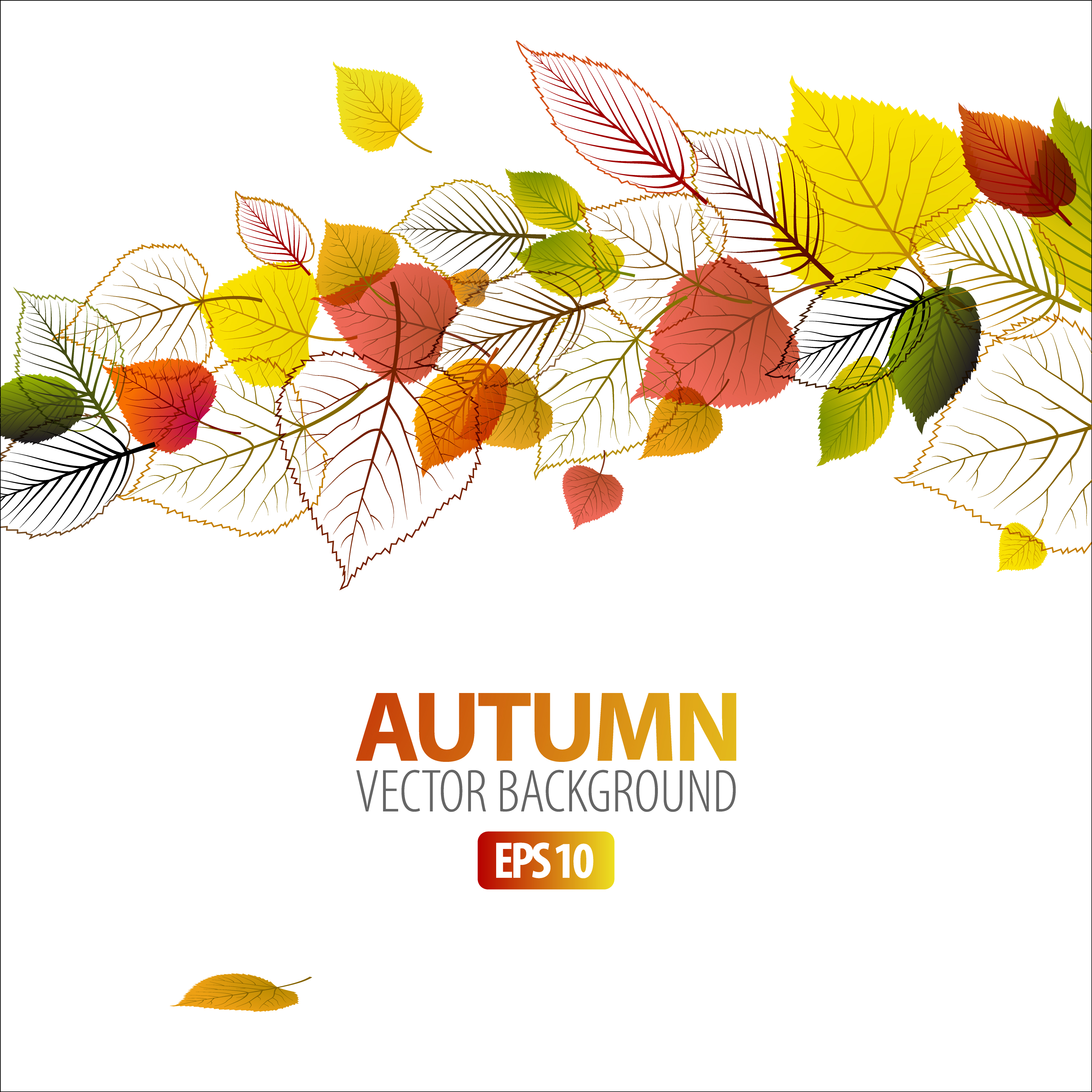 exquisite leaf background 04 vector