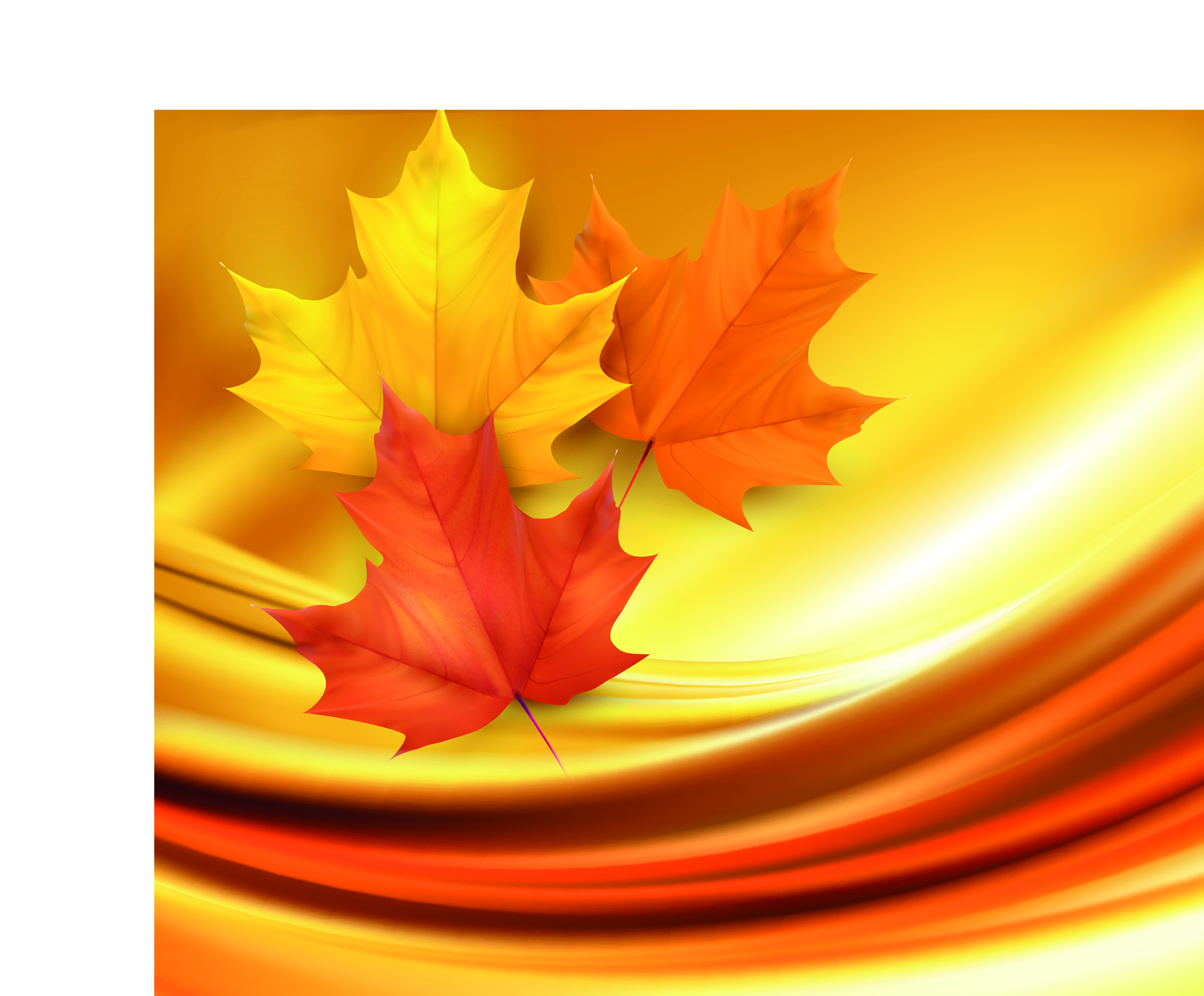 beautiful maple leaf background 04 vector