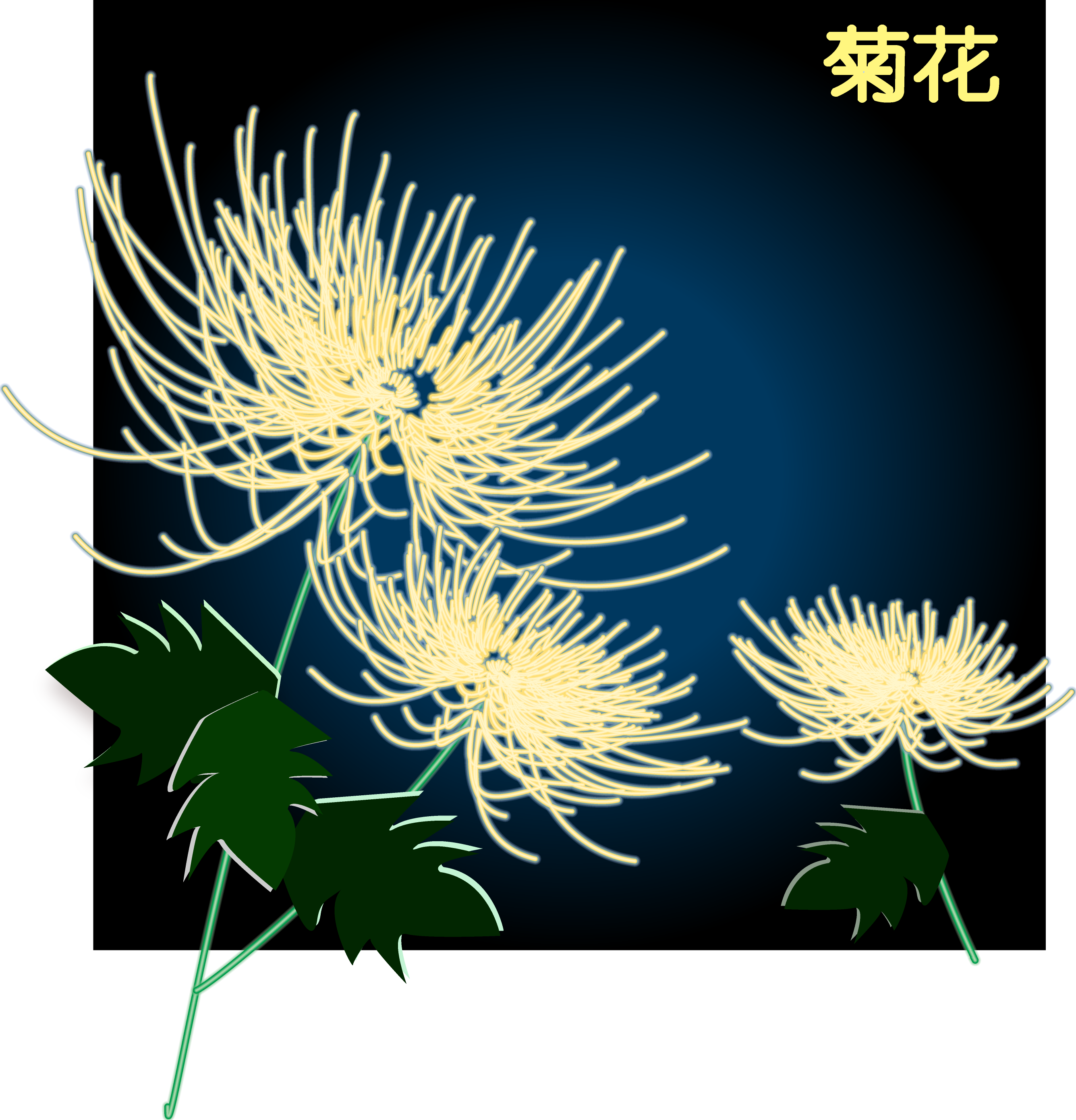 exquisite chrysanthemum vector