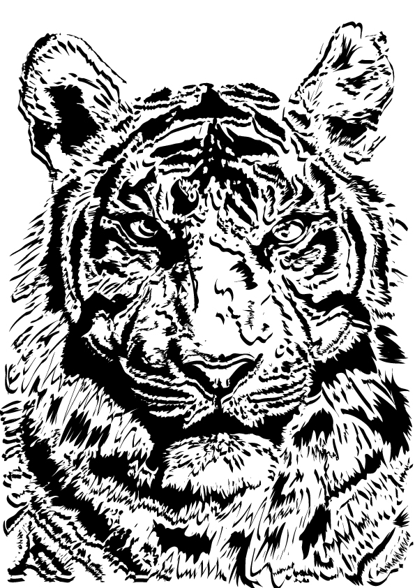 tiger image 02 vector