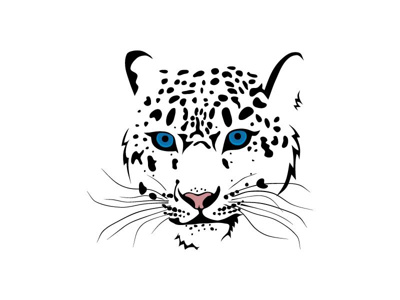 tiger image 13 vector