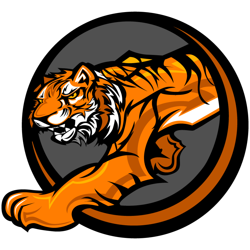 tiger image 22 vector