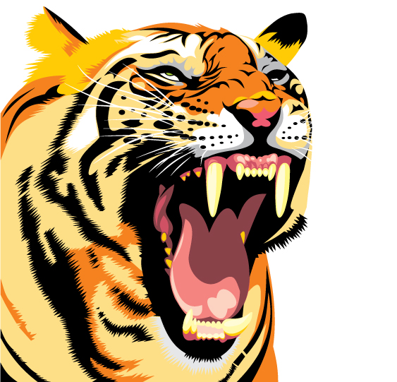 tiger image 28 vector