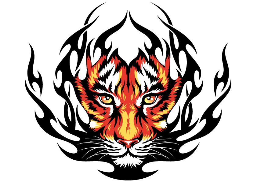 tiger image 31 vector