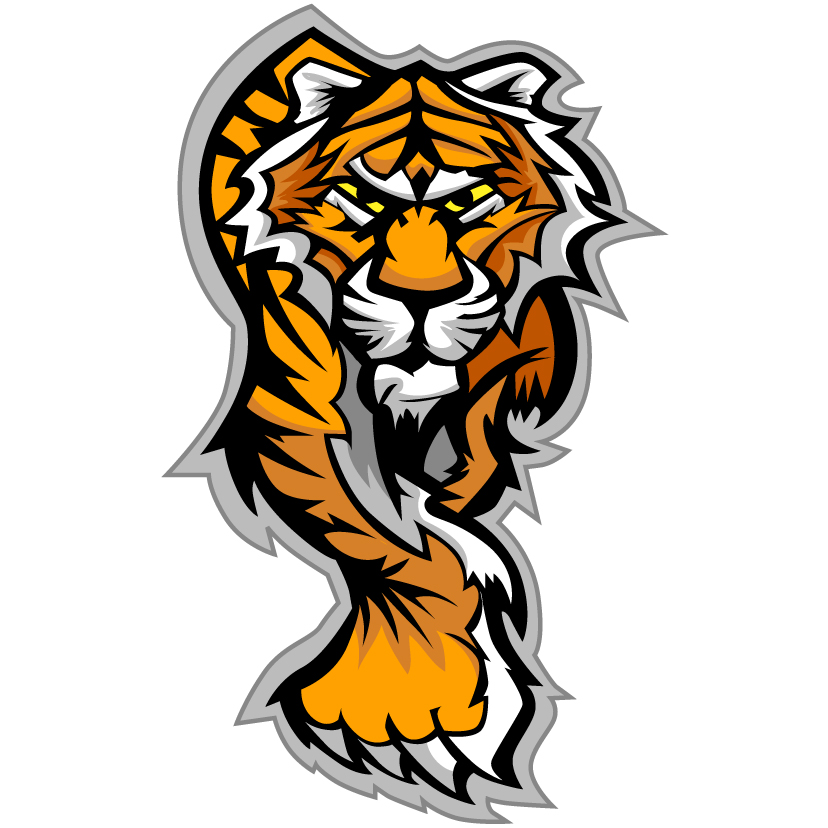 tiger image 33 vector