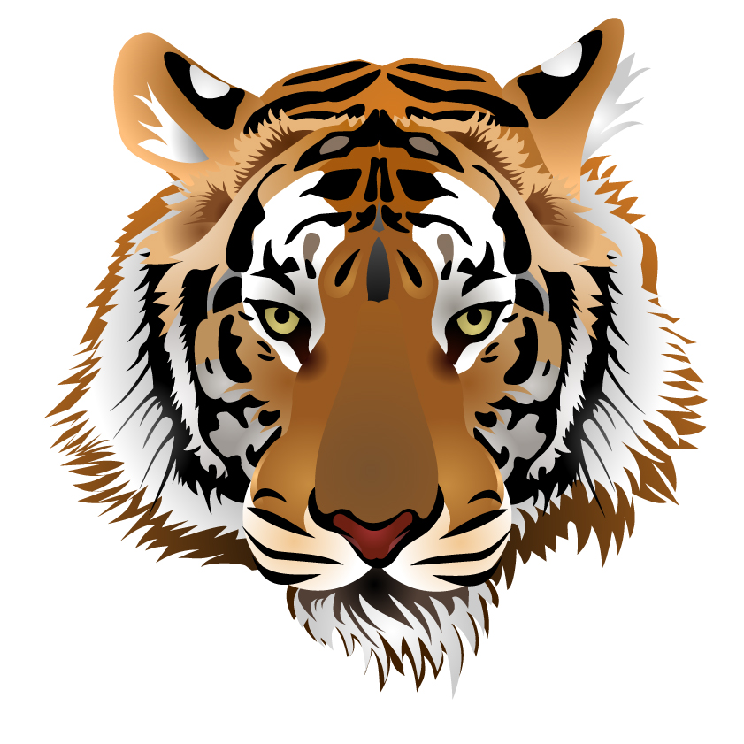 tiger image 03 vector