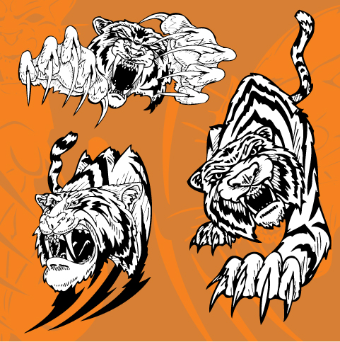 tiger image 11 vector