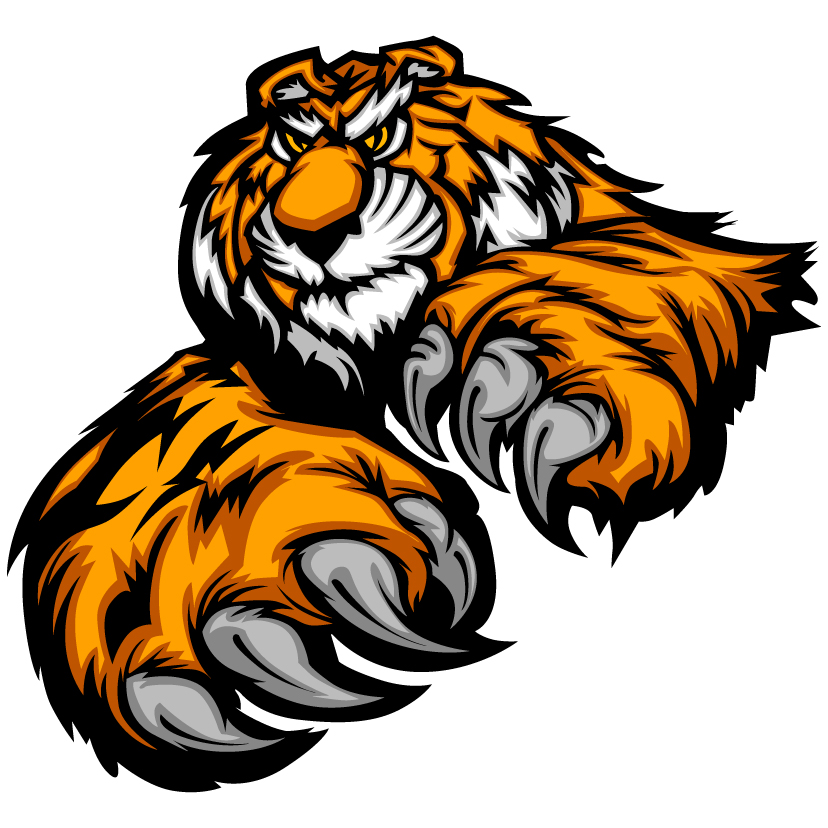 tiger image 19 vector