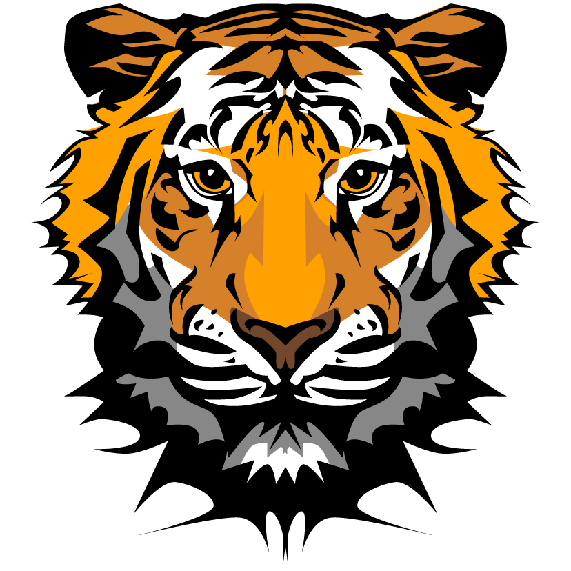 the tiger picture 20 vector