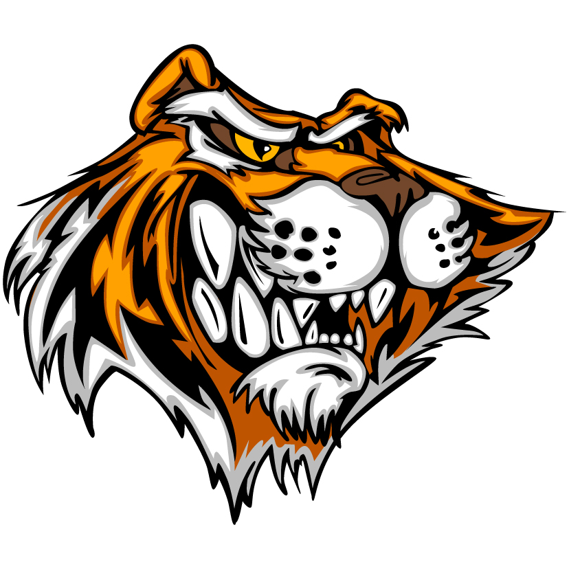 tiger image 21 vector