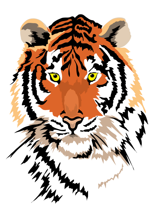 tiger image 01 vector