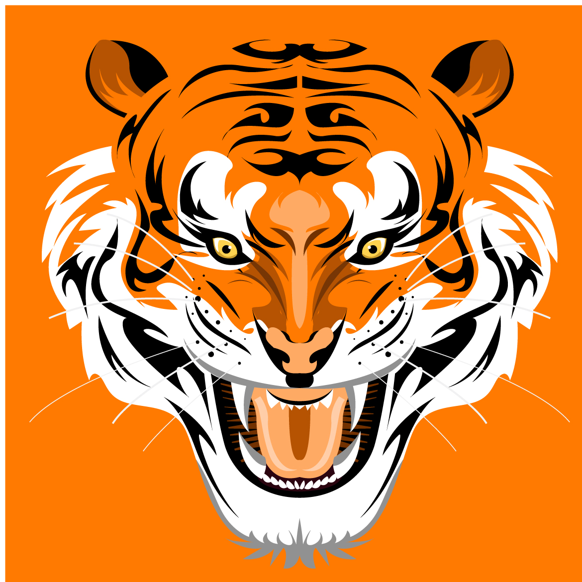 tiger image 43 vector