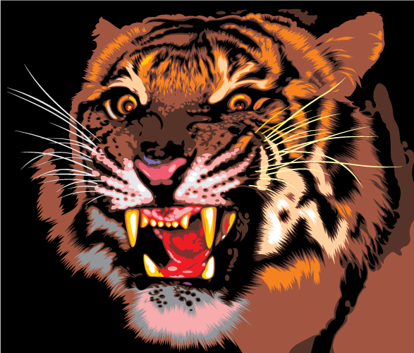 tiger image 09 vector