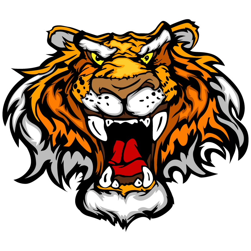 tiger image 17 vector