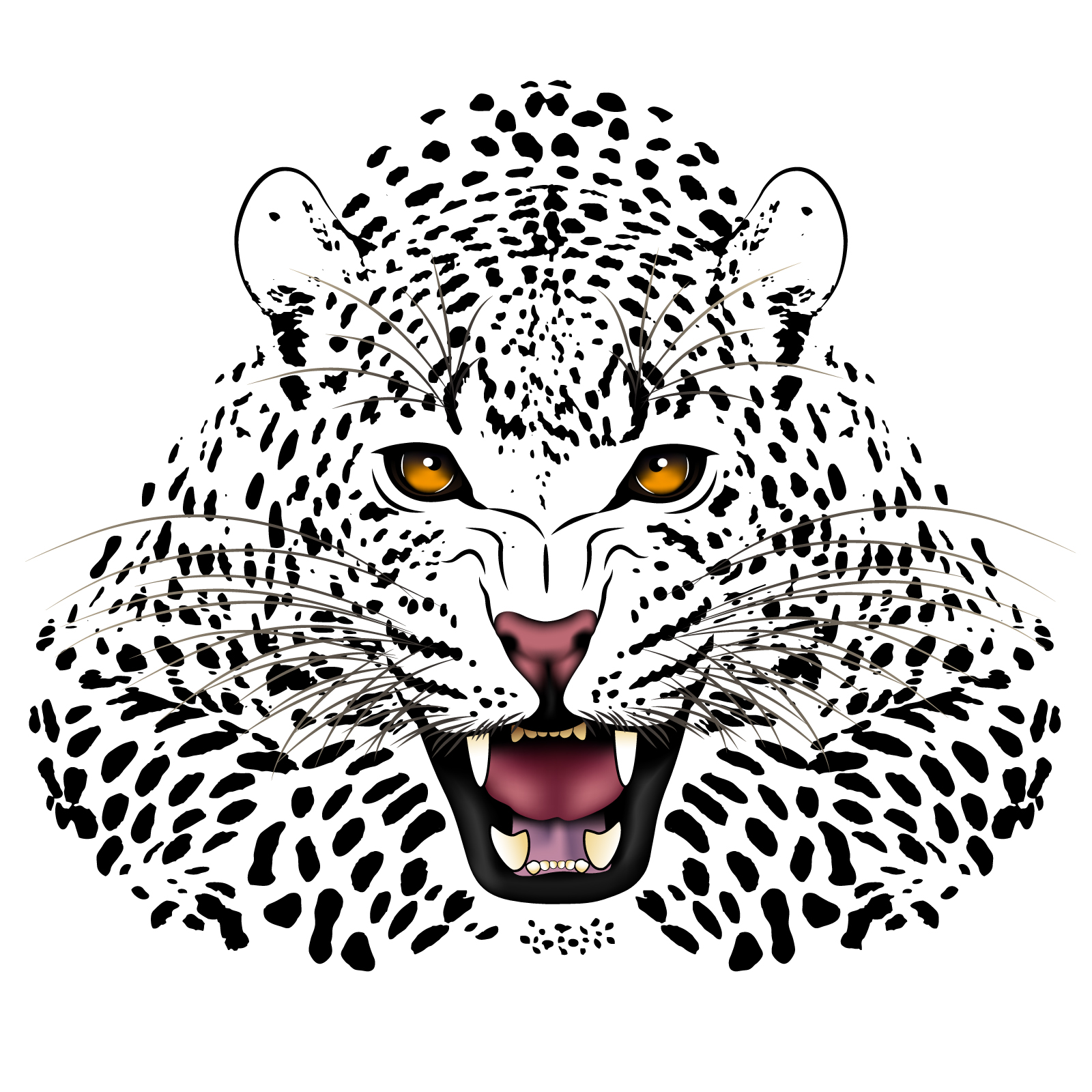 tiger image 18 vector