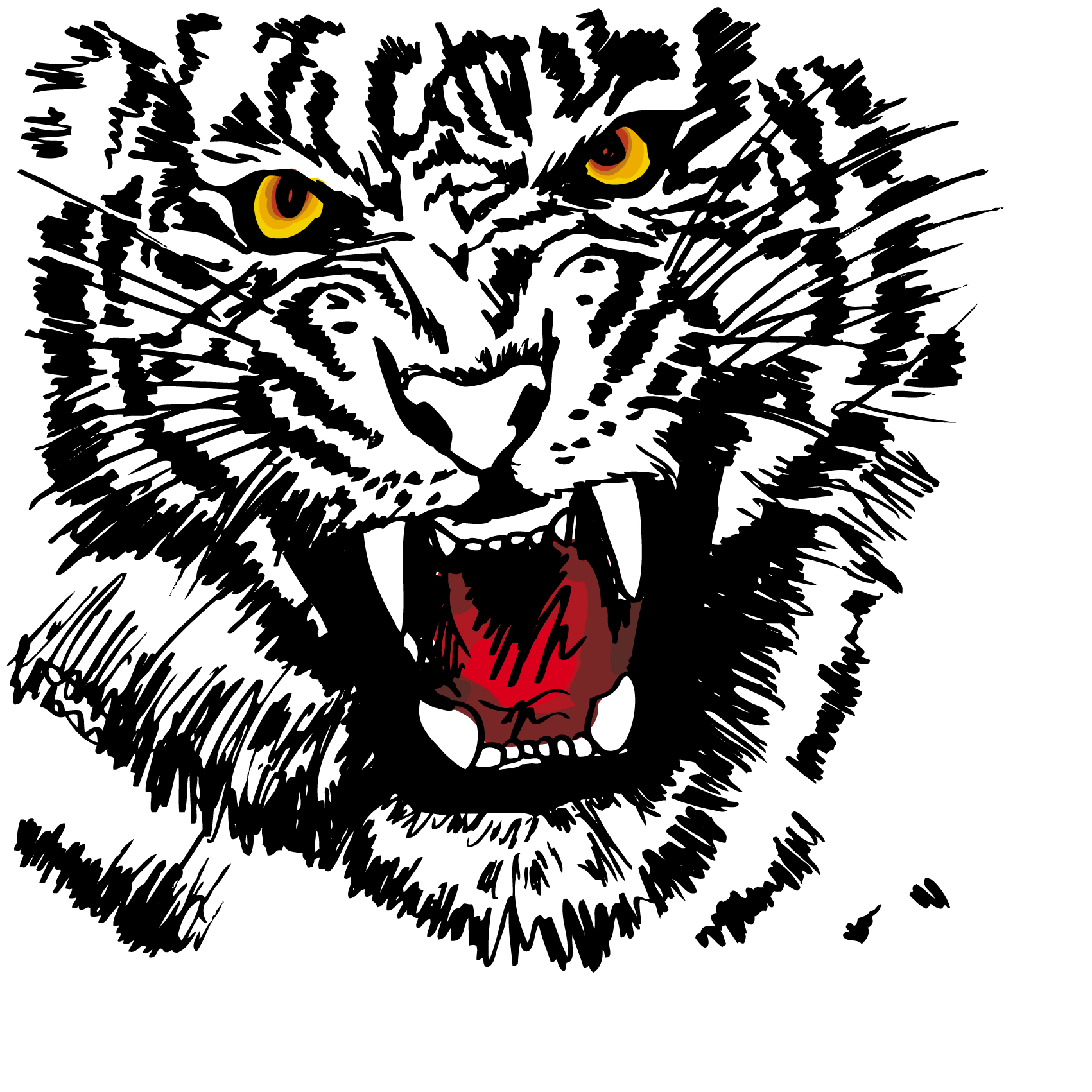 tiger image 27 vector