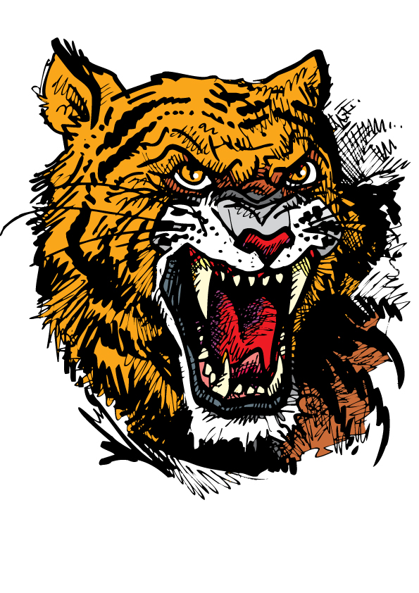 tiger image 30 vector